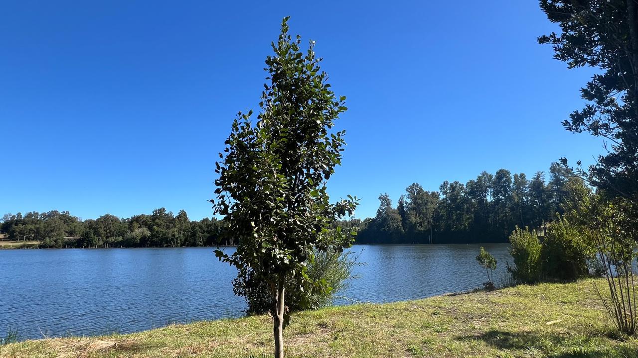 WhatsApp Image 2025-03-17 at 22.59.58 (3)