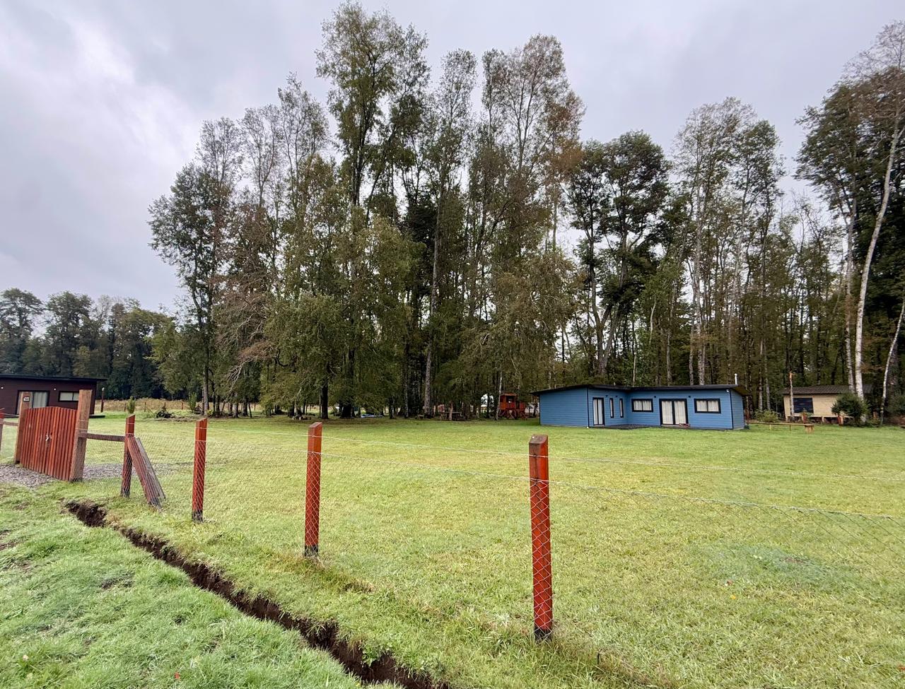 WhatsApp Image 2025-04-28 at 12.39.52