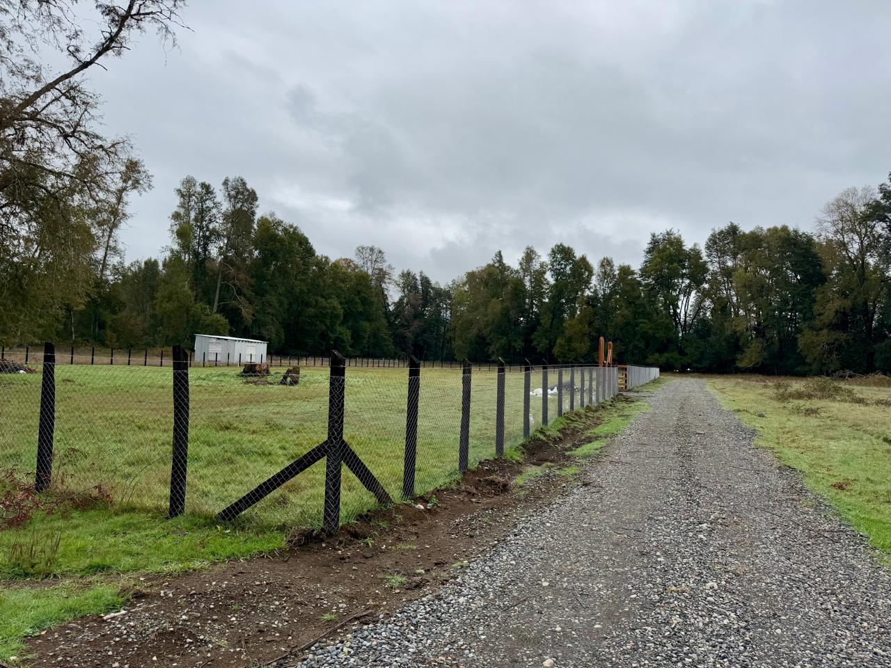 WhatsApp Image 2025-04-28 at 12.39.53 (2)