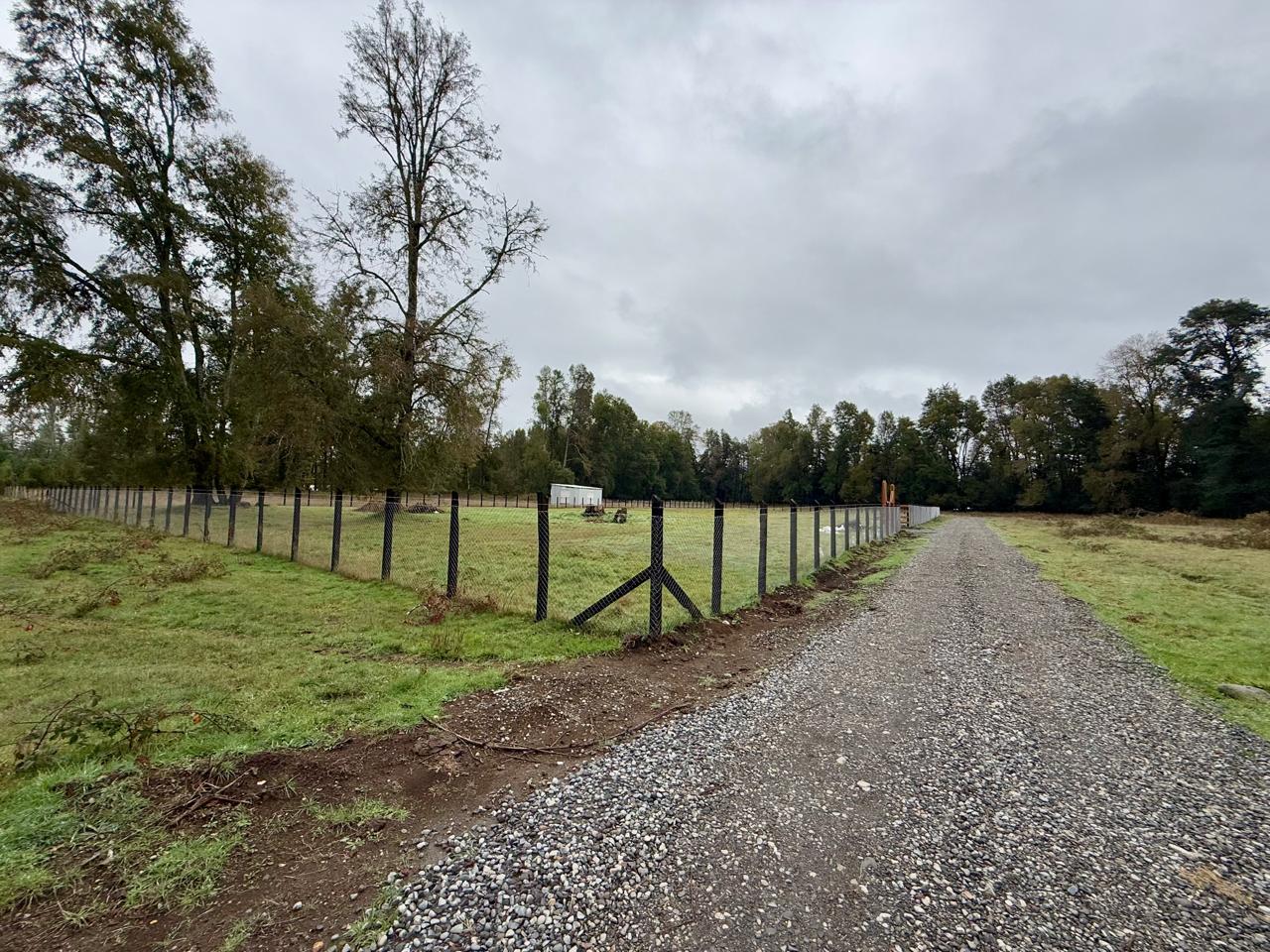 WhatsApp Image 2025-04-28 at 12.39.53 (3)