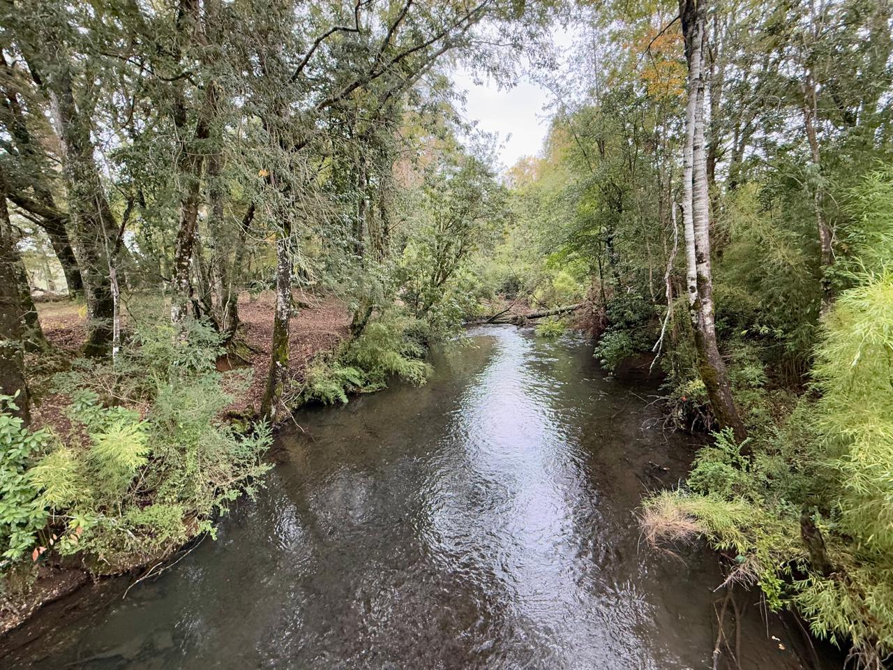 WhatsApp Image 2025-04-28 at 12.39.54 (1)