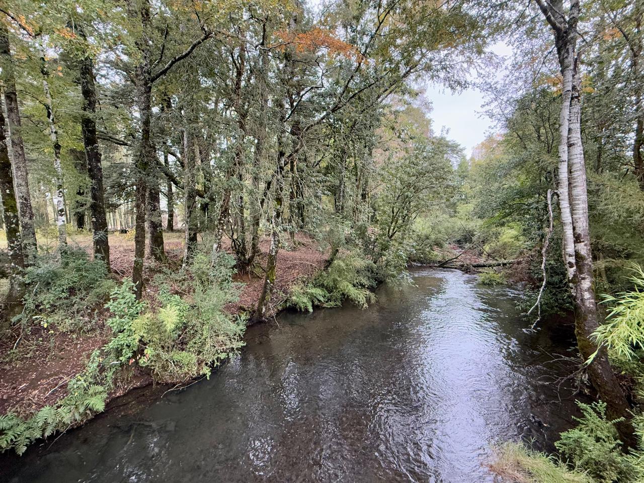 WhatsApp Image 2025-04-28 at 12.39.54 (2)