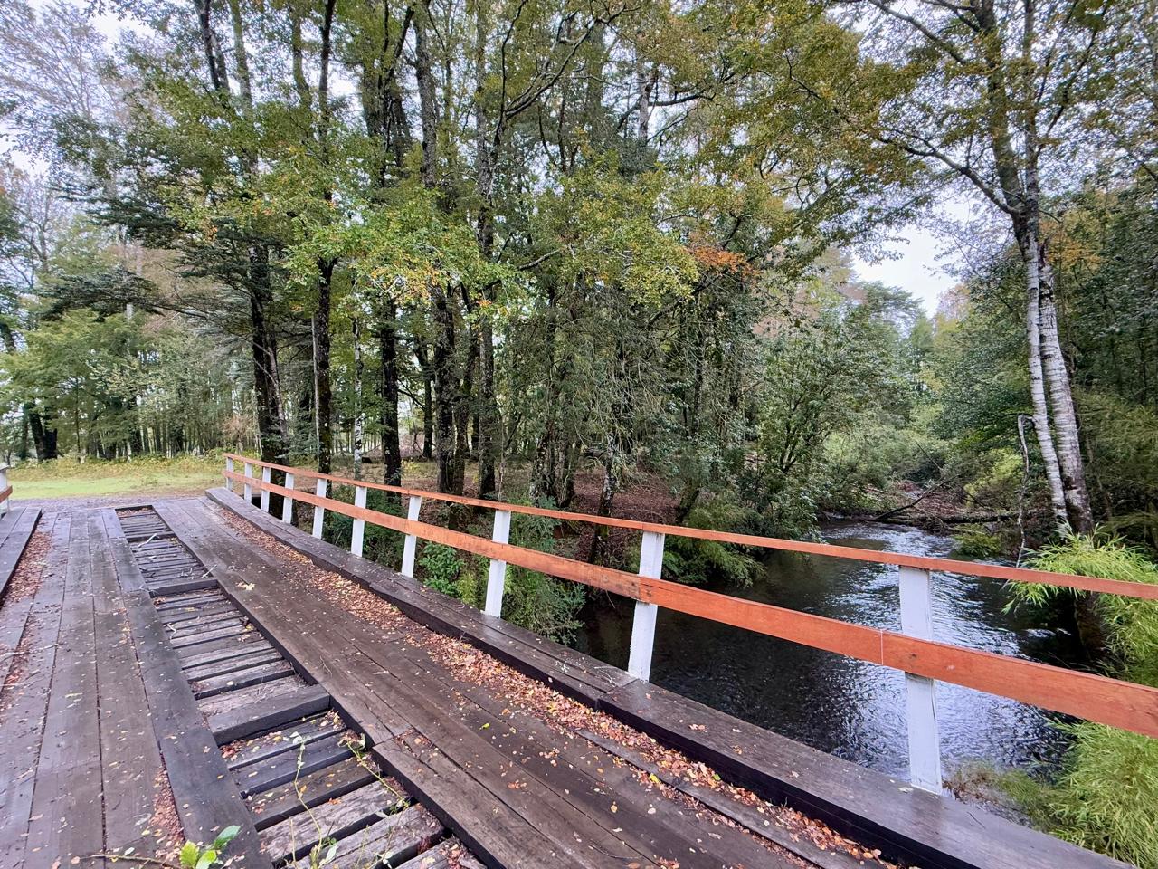 WhatsApp Image 2025-04-28 at 12.39.54 (3)