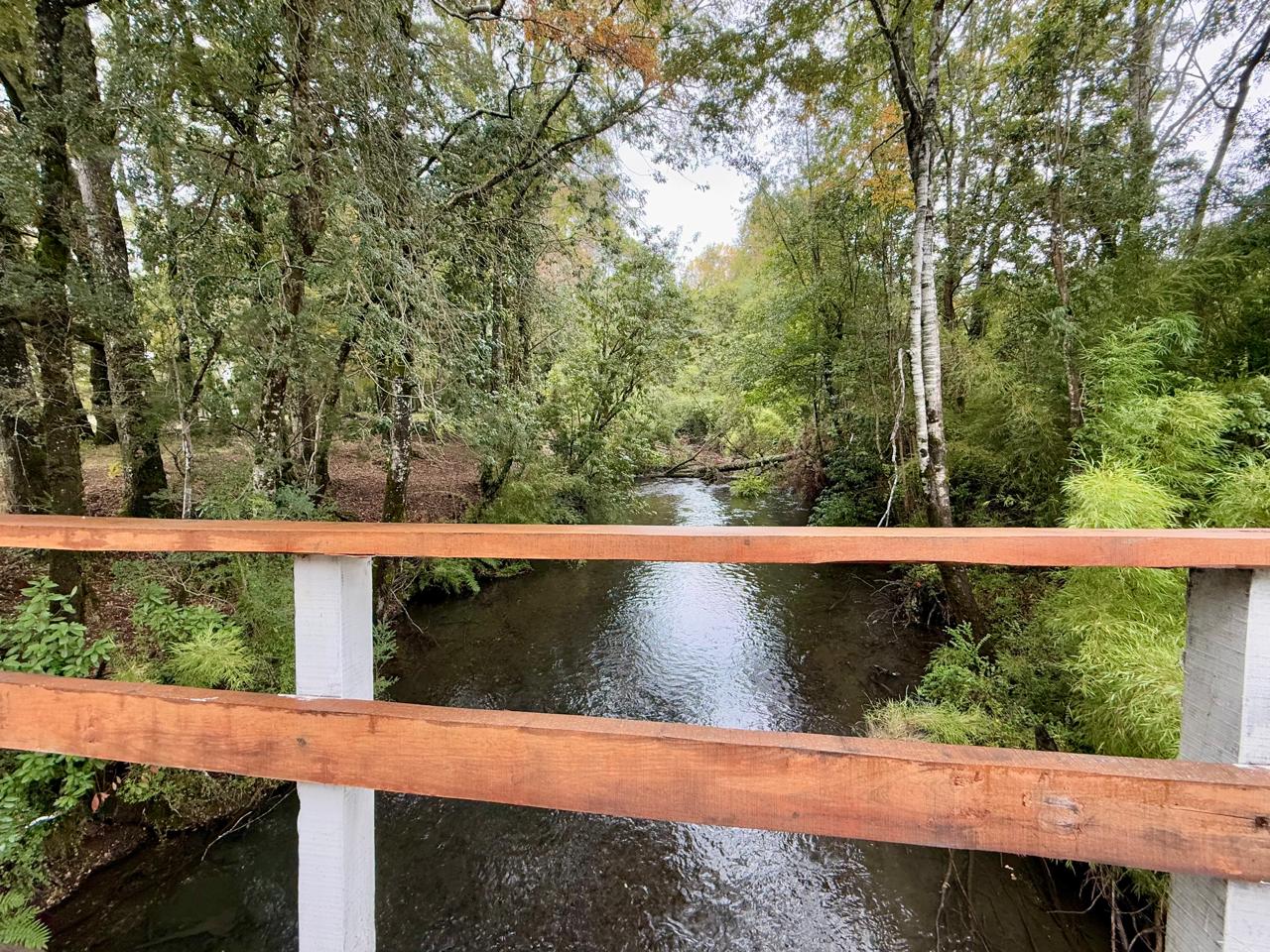 WhatsApp Image 2025-04-28 at 12.39.54