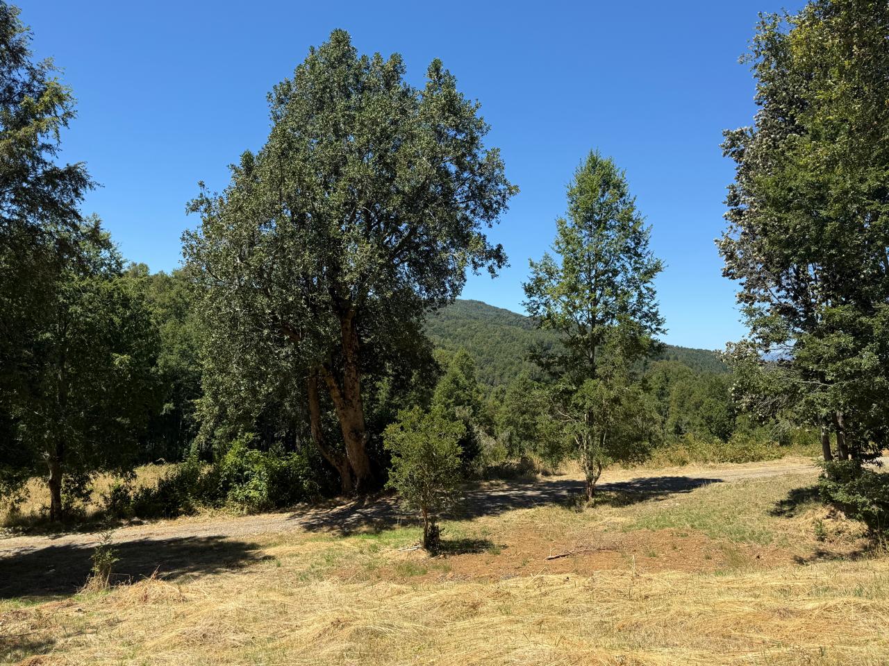 11b057af-972b-4a52-9ce6-ce49e57a61a0