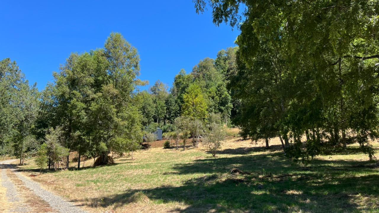 28831695-d84b-44cc-8da8-efe8d22e2d97