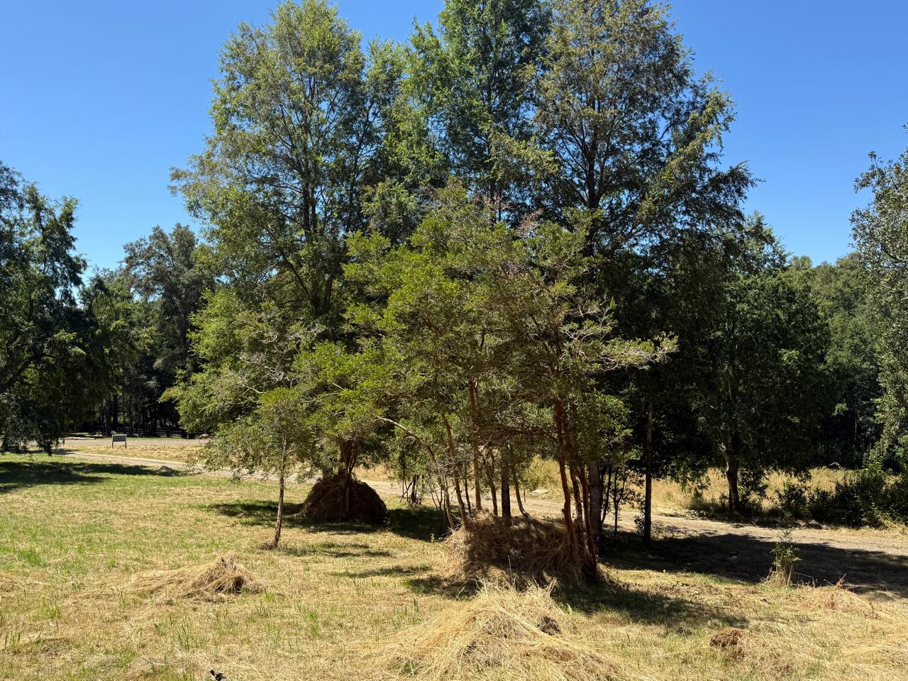 2a6ad925-0c48-4618-8ae9-8aa53fed2aa9