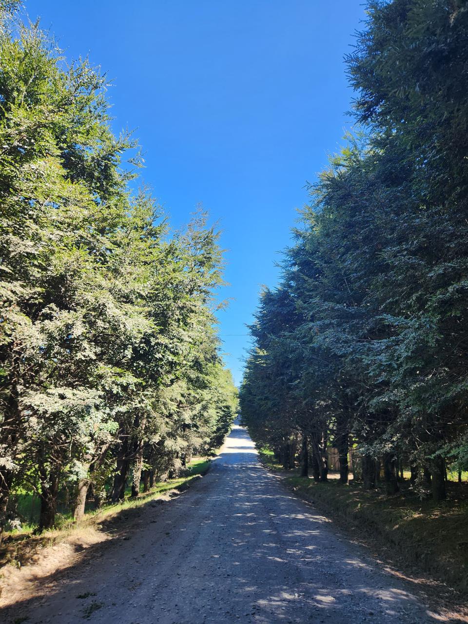 3362c42b-c4ed-4d7f-b38f-8474b21448d5