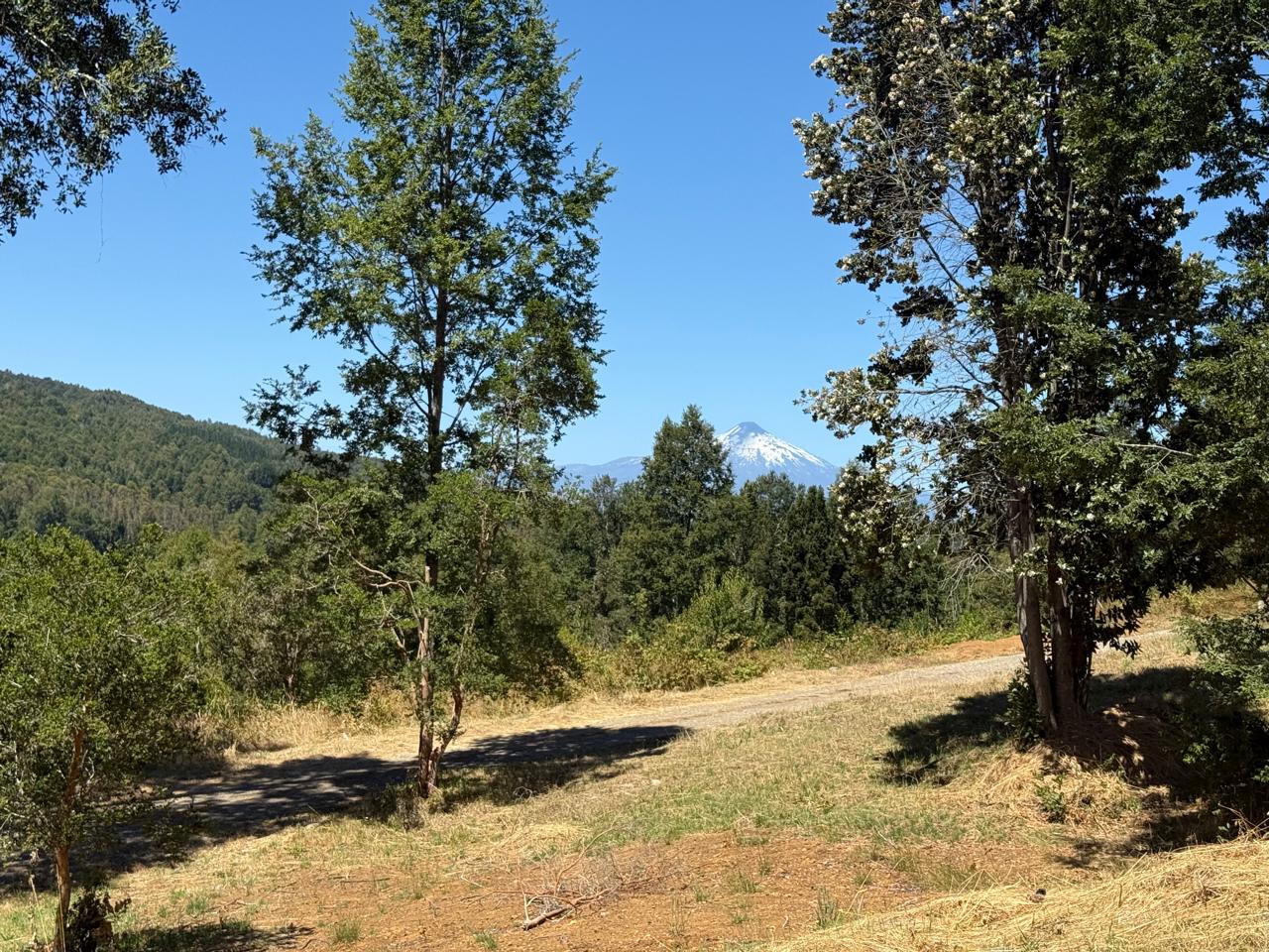 443106a0-c01a-4cf6-b652-11b24df3420a