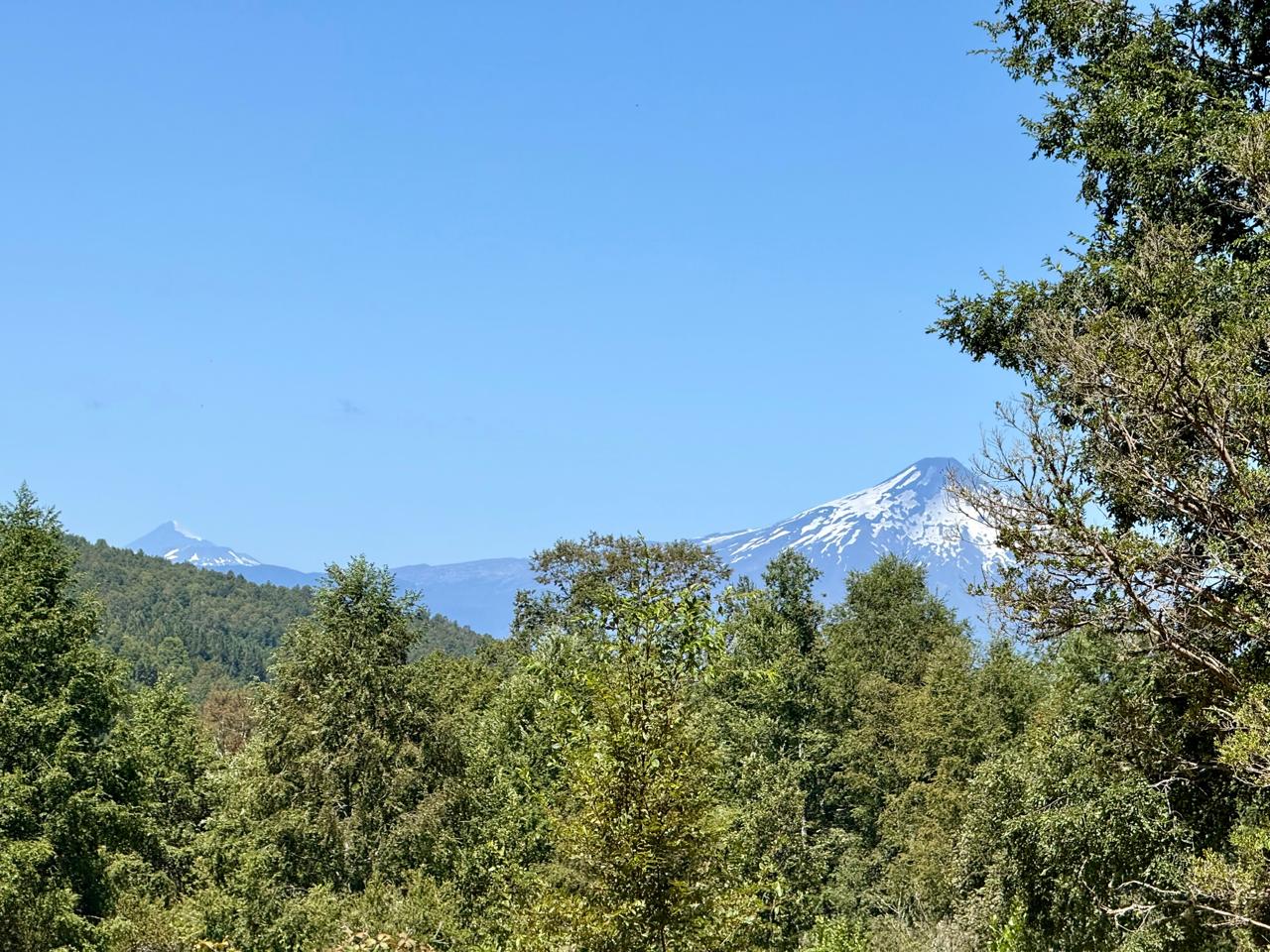 524dd9e4-6141-48b3-b6d1-0979027a2ca0