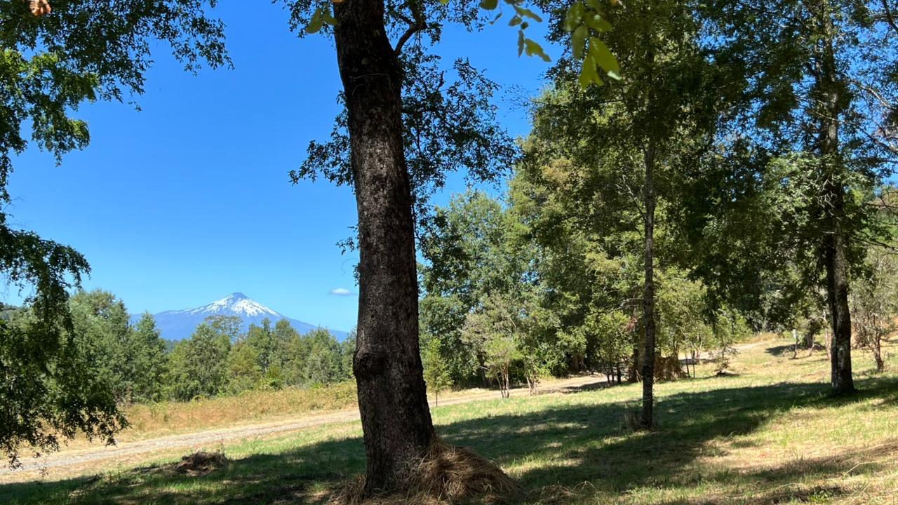 71b7c995-c268-4168-941c-f93584cad562