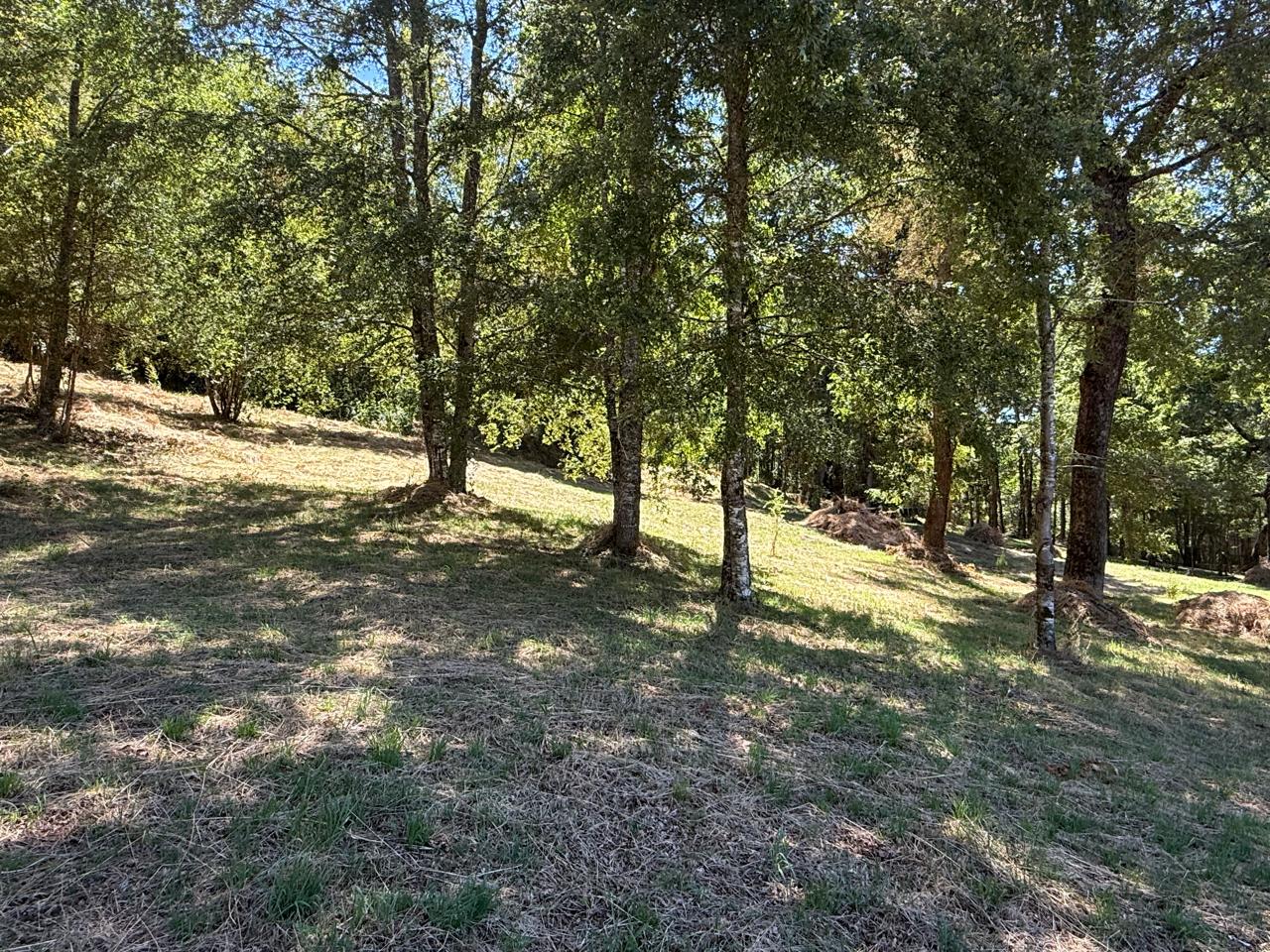 74d51984-7733-4c02-b754-440a251f3294