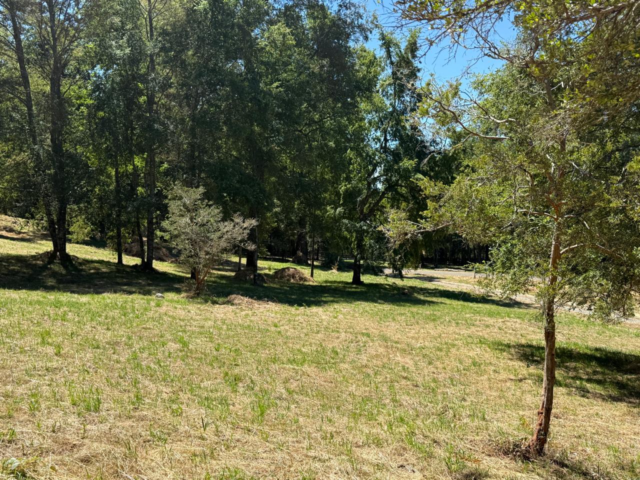 7b425f6d-85da-4855-bd5e-a01b173a8ed9