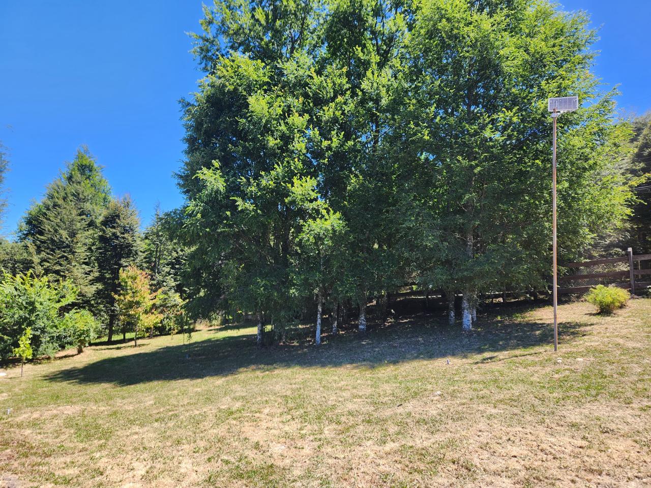 911197f7-f94b-427d-8d6a-121085b3b9e5