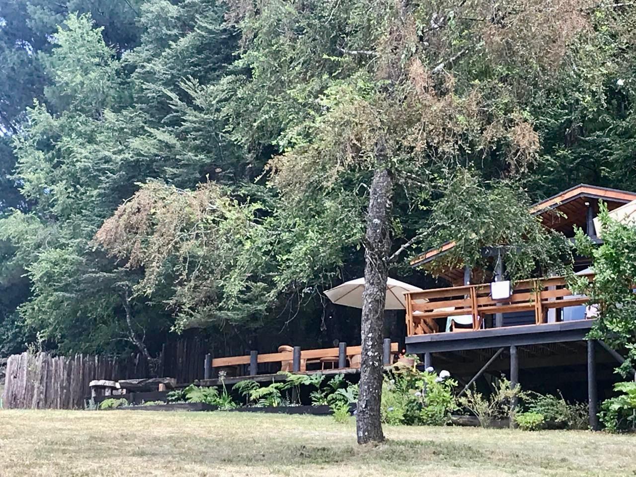 WhatsApp Image 2025-05-22 at 12.27.27 (1)