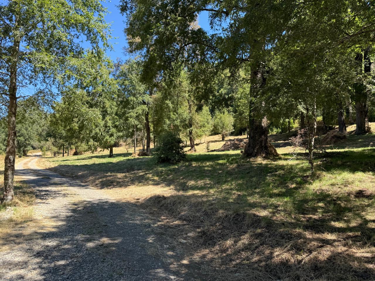 a05c0cac-30f7-44c4-adc0-6db96a346a19