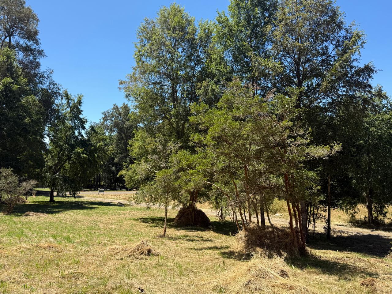 a586e03f-906f-4e6f-989e-ea817ceacc43