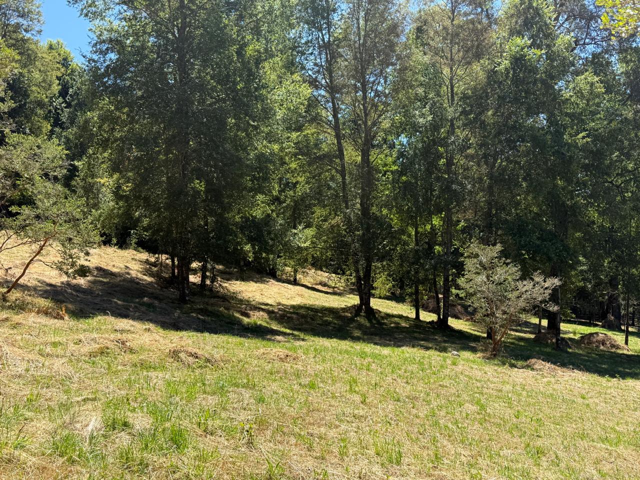 adf87549-84f0-47b6-8605-fe16bce162fc