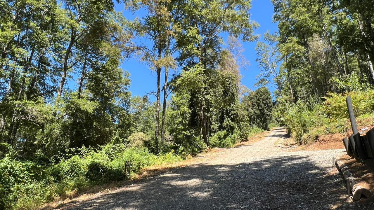 c3c25638-59cd-496b-9157-e93376c1a97a