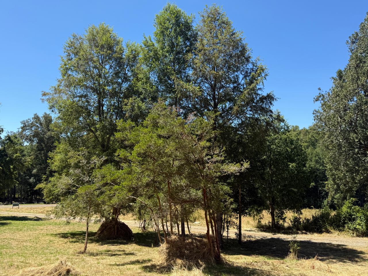 eefc8b6c-659a-45ff-83a5-8067c89d0974