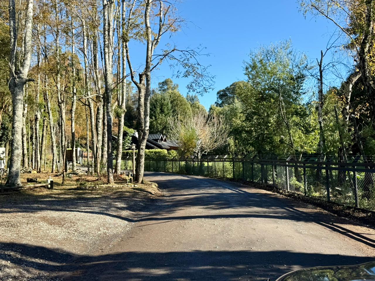 WhatsApp Image 2025-06-04 at 10.00.15