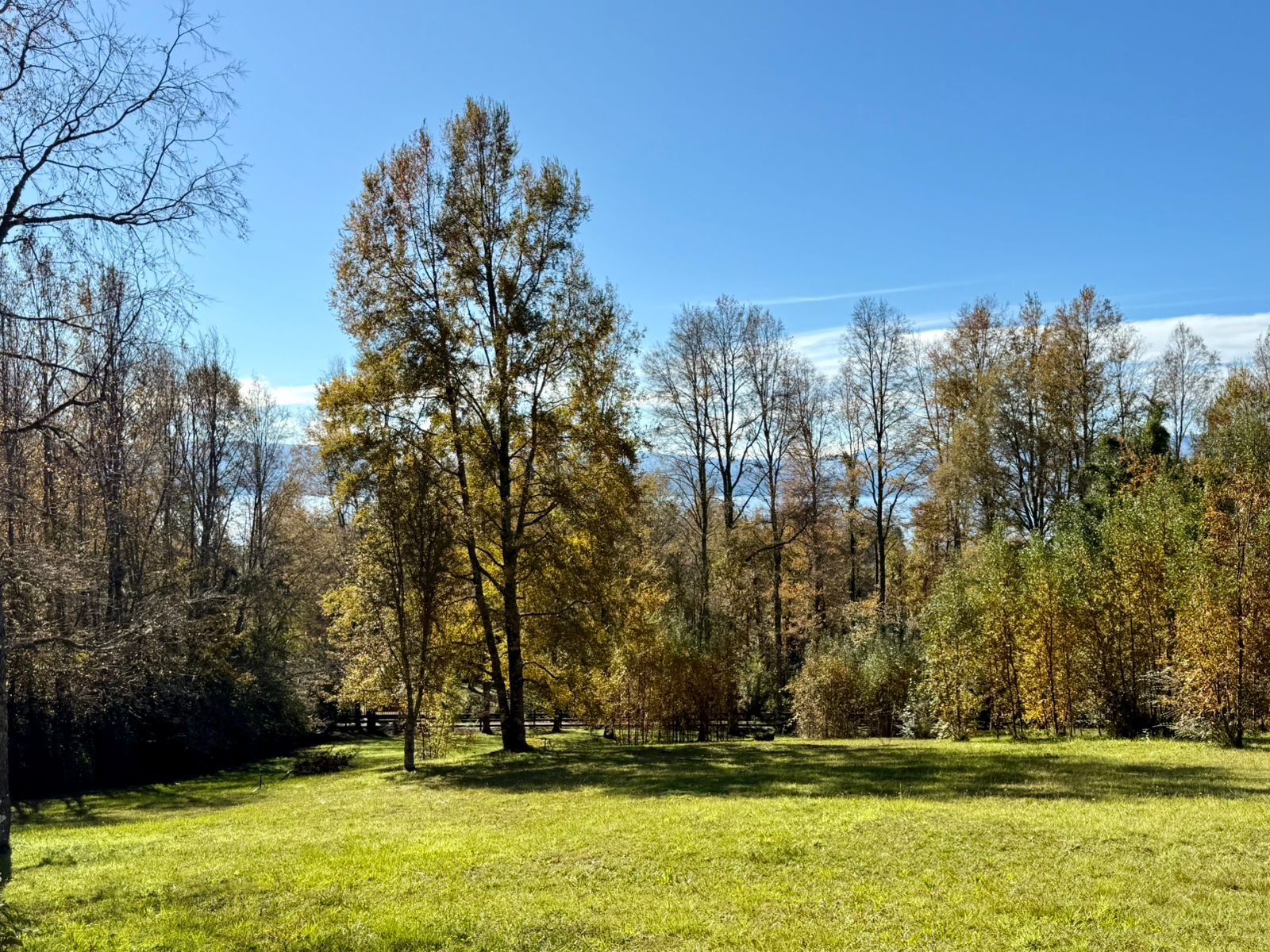 WhatsApp Image 2025-06-04 at 10.00.16 (1)