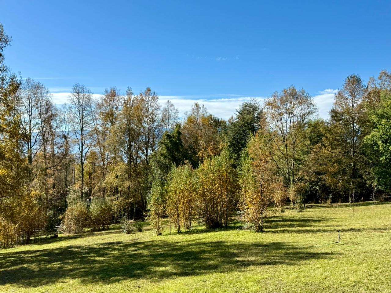 WhatsApp Image 2025-06-04 at 10.00.16 (2)