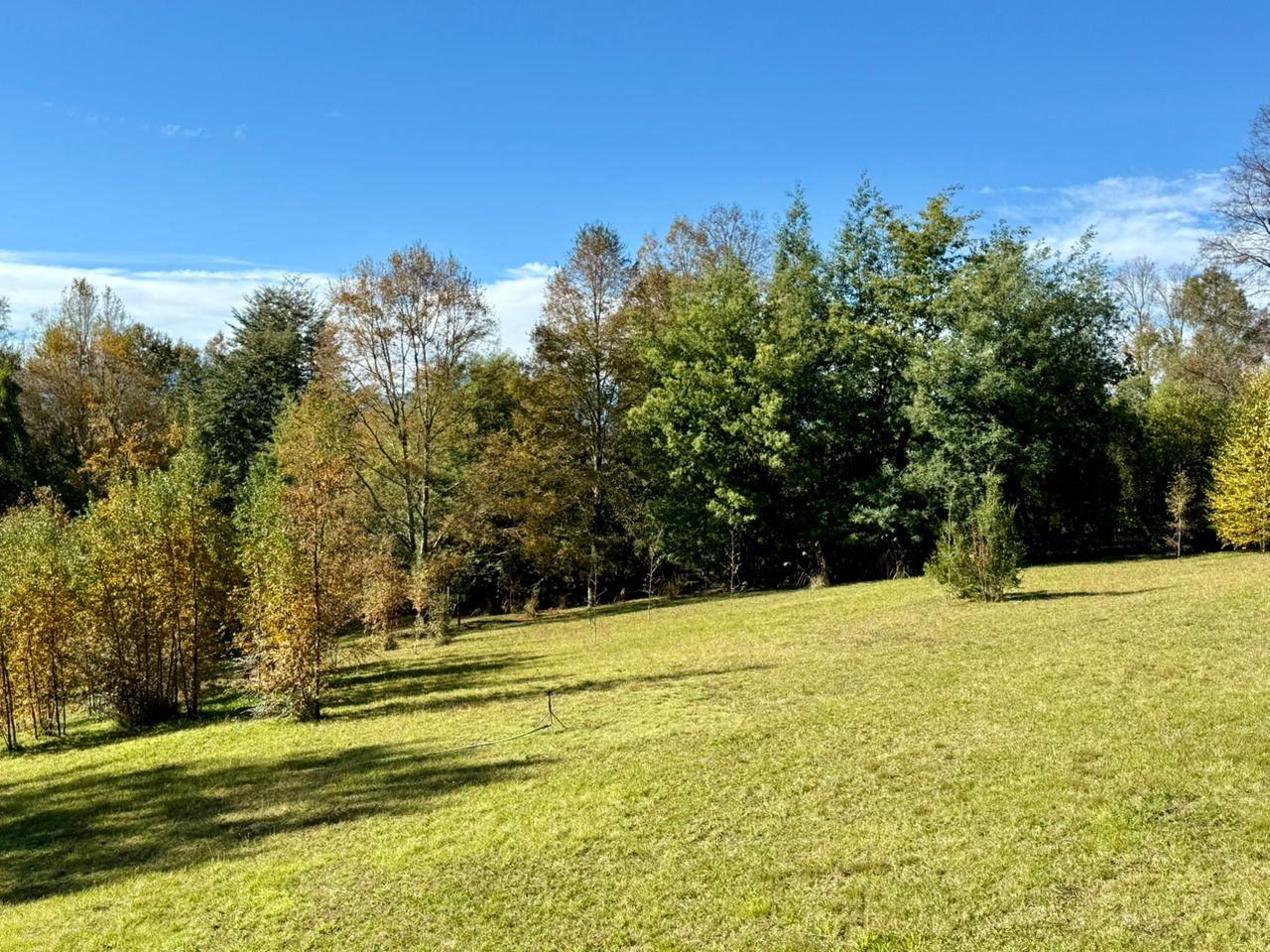 WhatsApp Image 2025-06-04 at 10.00.16 (3)