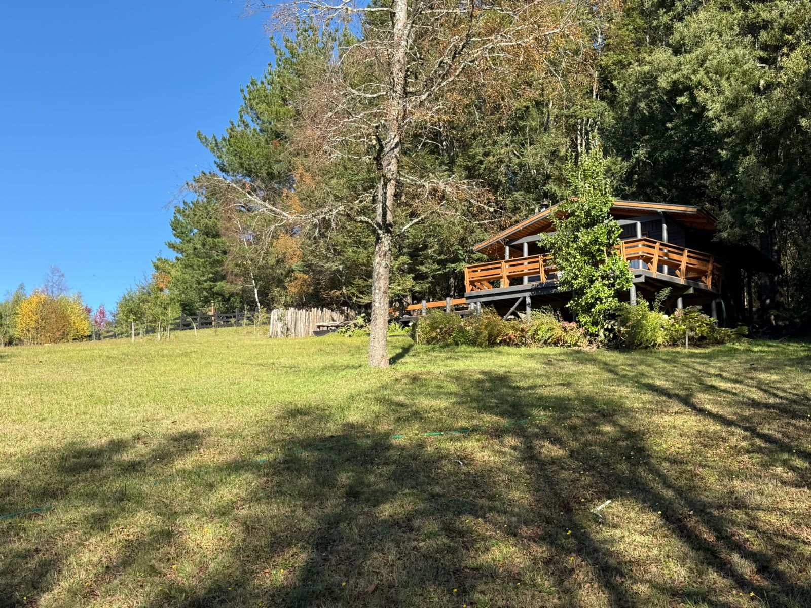 WhatsApp Image 2025-06-04 at 10.00.17 (1)