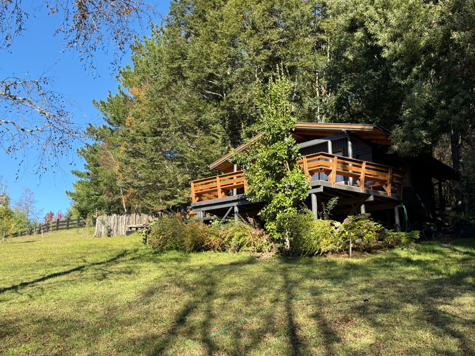 WhatsApp Image 2025-06-04 at 10.00.17 (2)