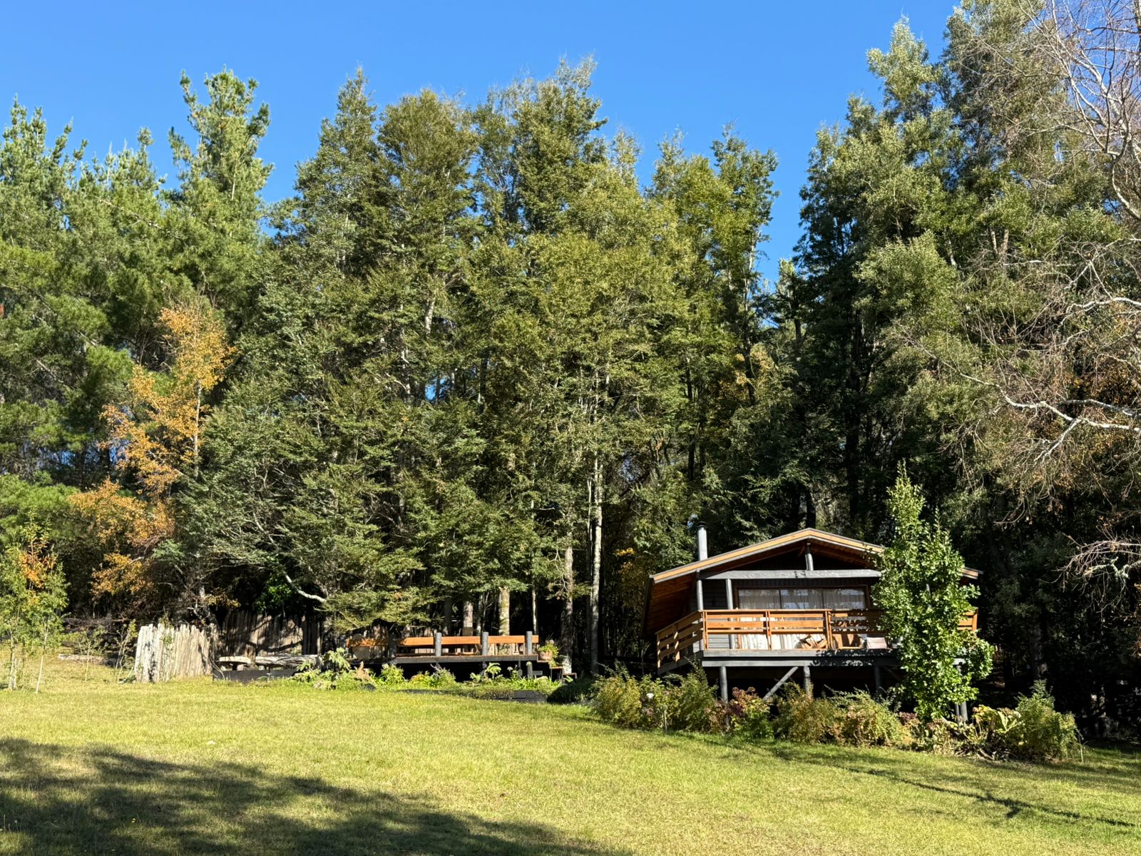 WhatsApp Image 2025-06-04 at 10.00.17