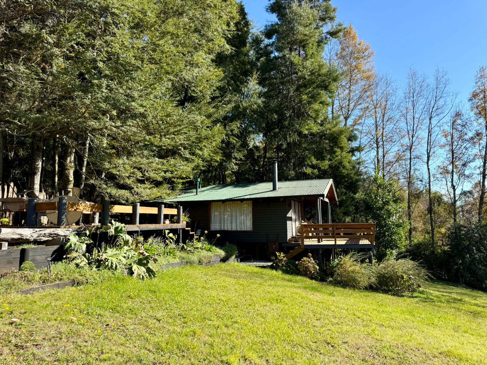 WhatsApp Image 2025-06-04 at 10.00.18 (1)