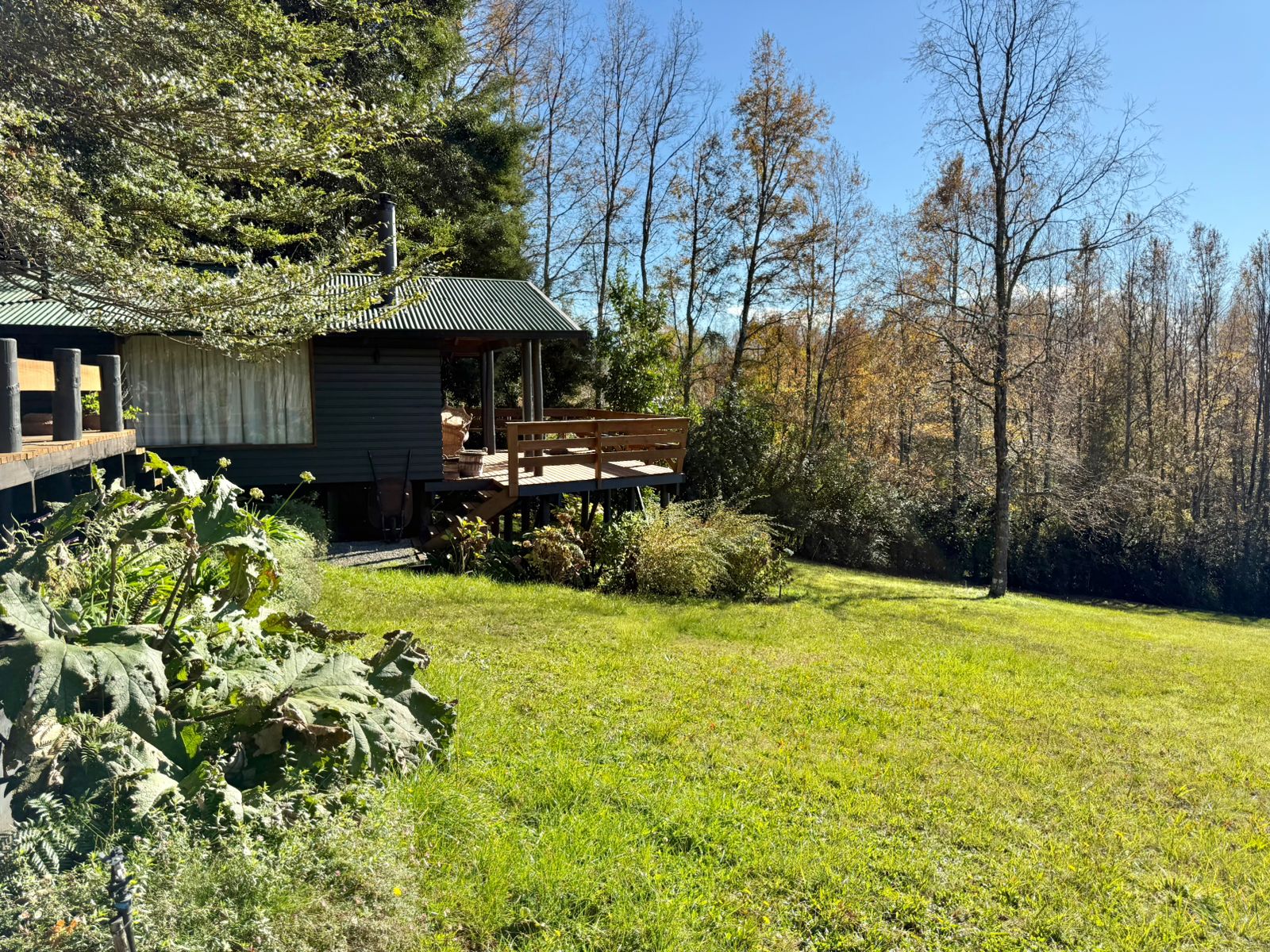 WhatsApp Image 2025-06-04 at 10.00.18 (2)