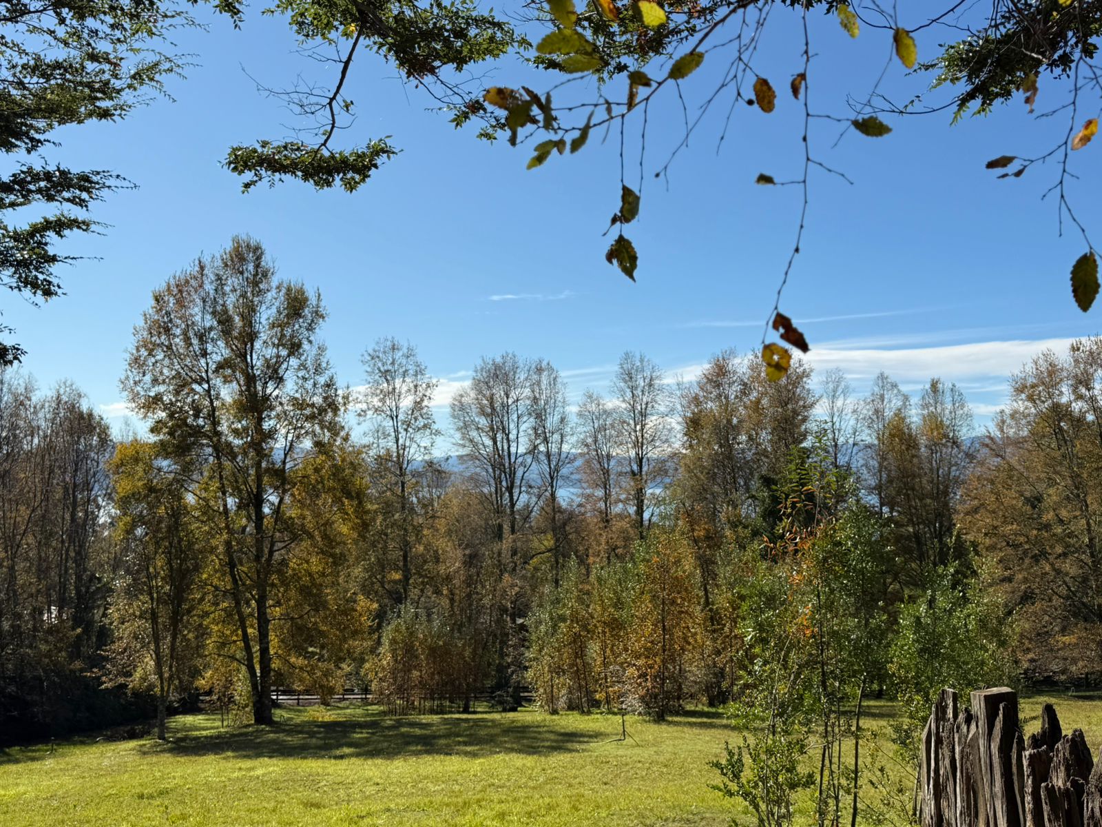 WhatsApp Image 2025-06-04 at 10.00.18 (3)