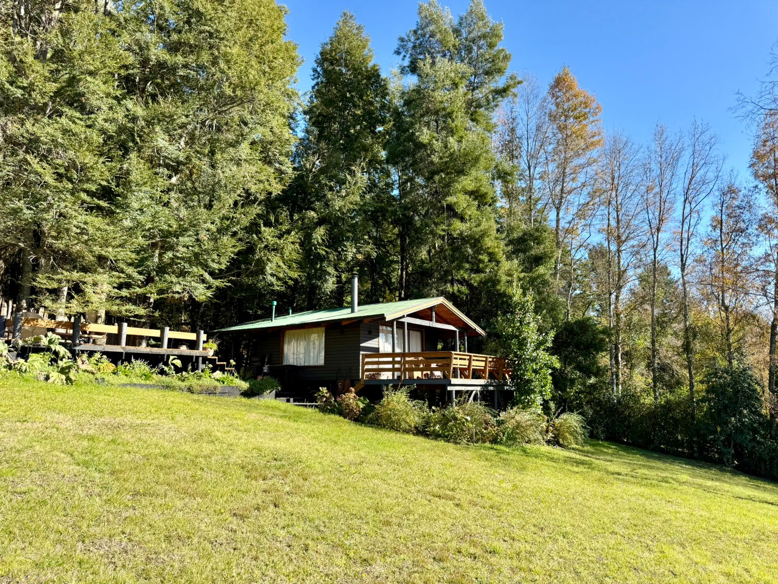 WhatsApp Image 2025-06-04 at 10.00.18