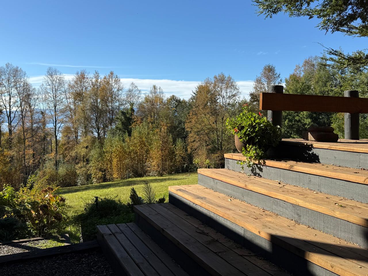 WhatsApp Image 2025-06-04 at 10.09.40