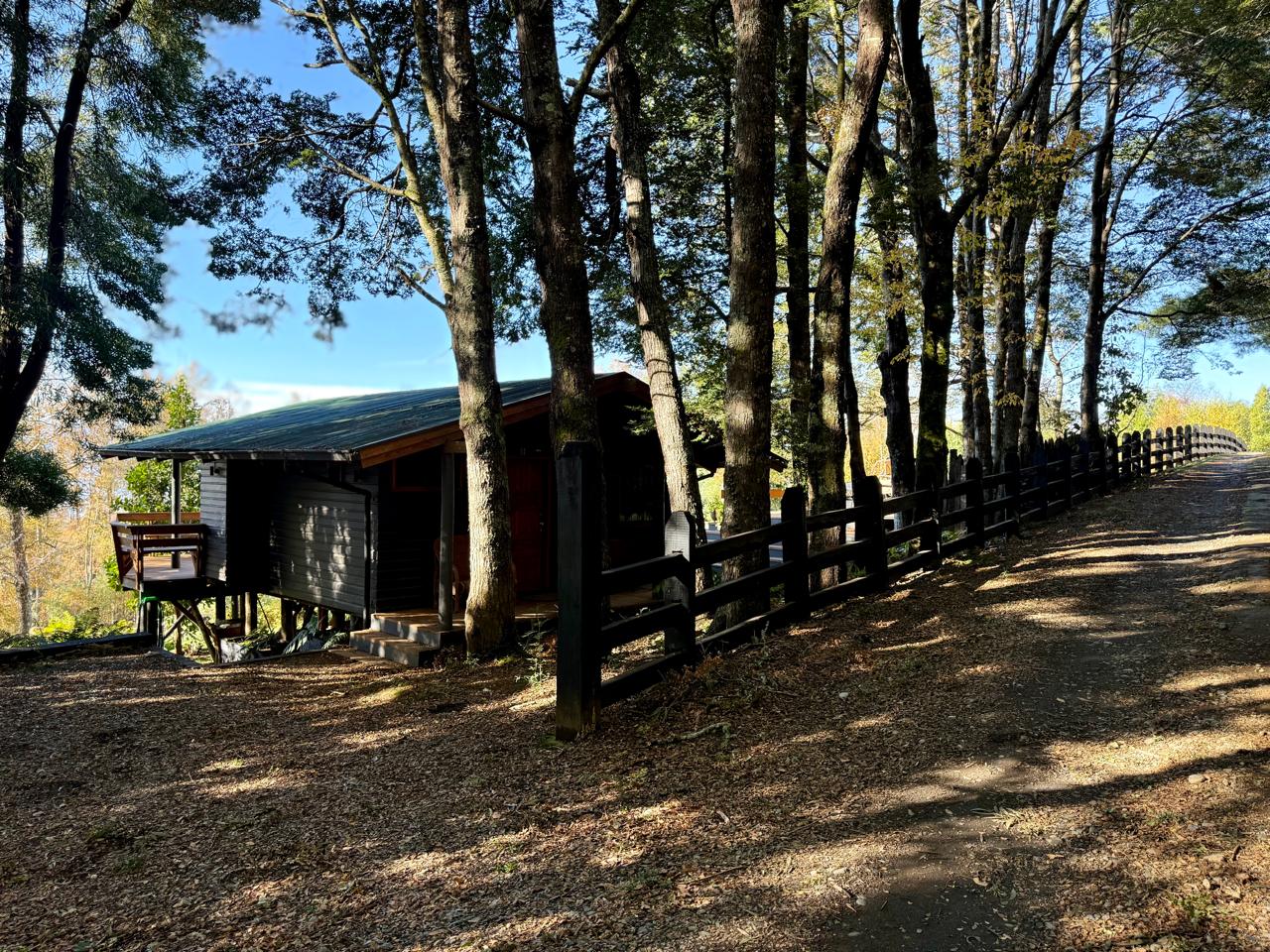 WhatsApp Image 2025-06-04 at 10.09.41 (7)