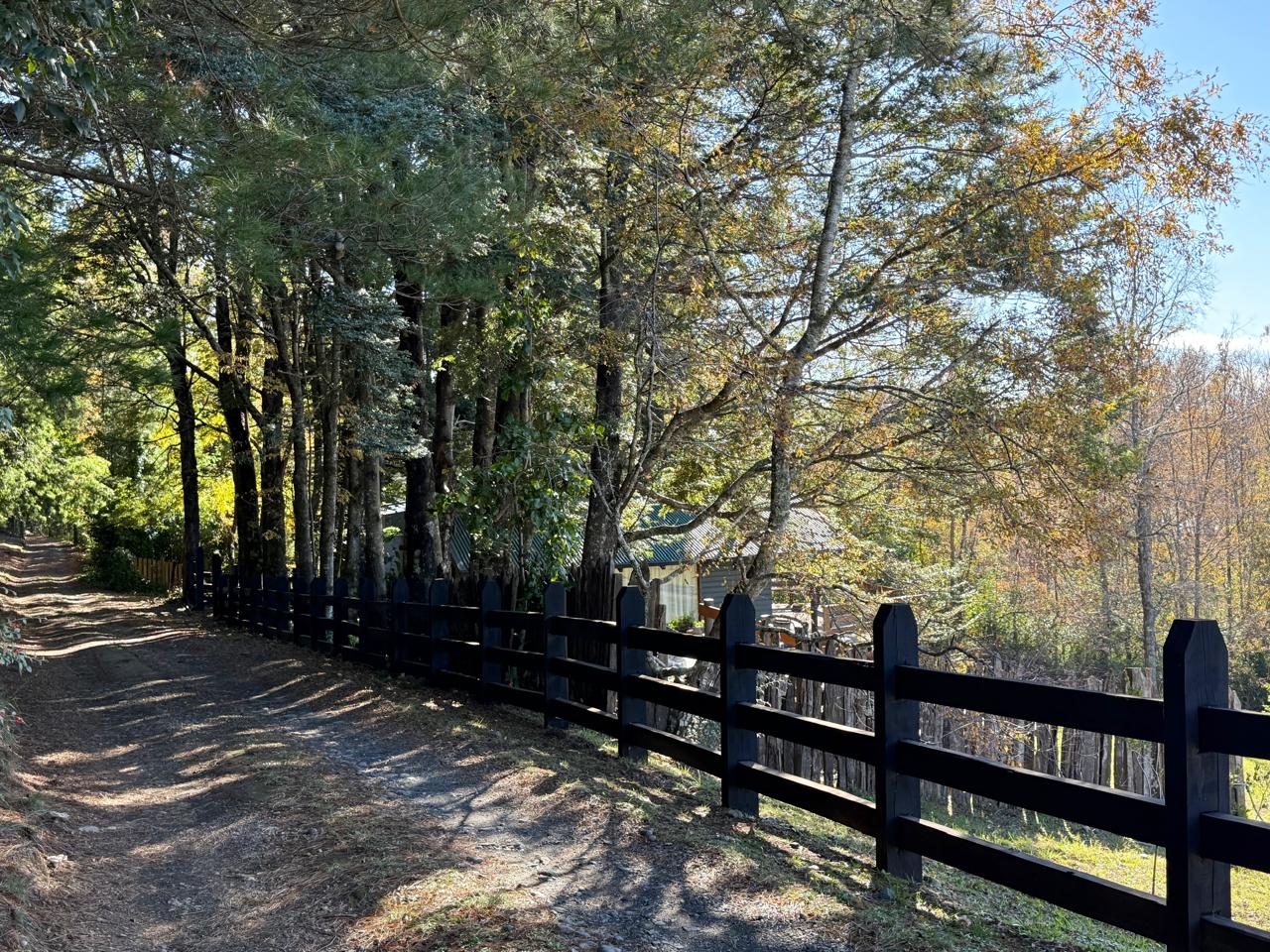 WhatsApp Image 2025-06-04 at 10.09.41 (8)