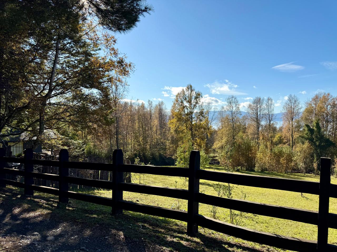 WhatsApp Image 2025-06-04 at 10.09.41 (9)