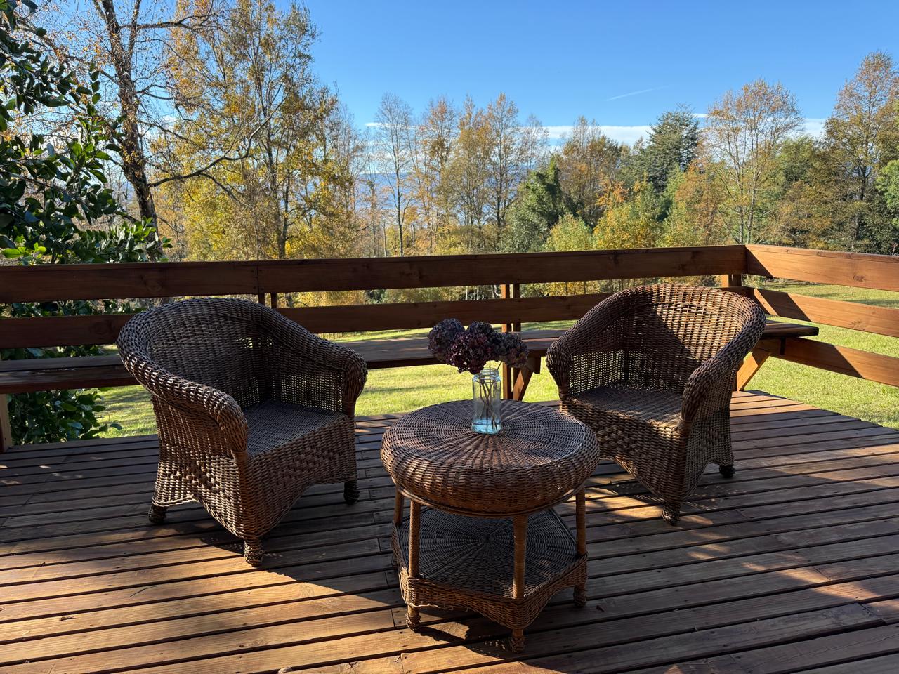 WhatsApp Image 2025-06-04 at 10.09.41