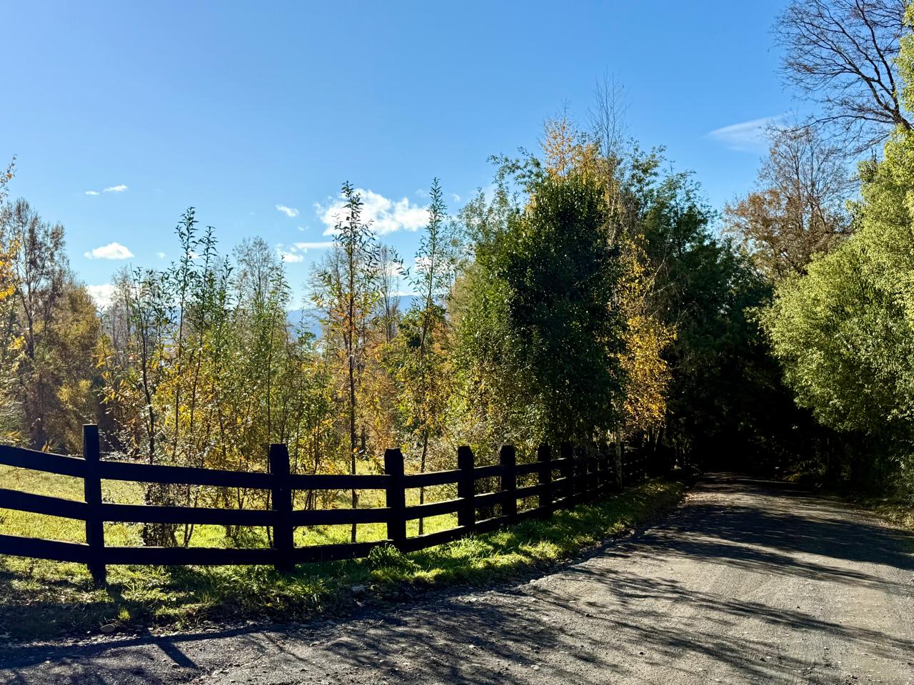 WhatsApp Image 2025-06-04 at 10.27.14 (1)