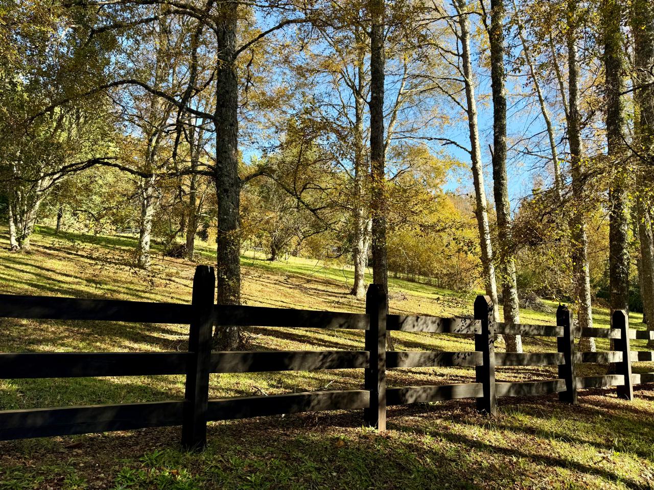 WhatsApp Image 2025-06-04 at 10.27.14 (3)