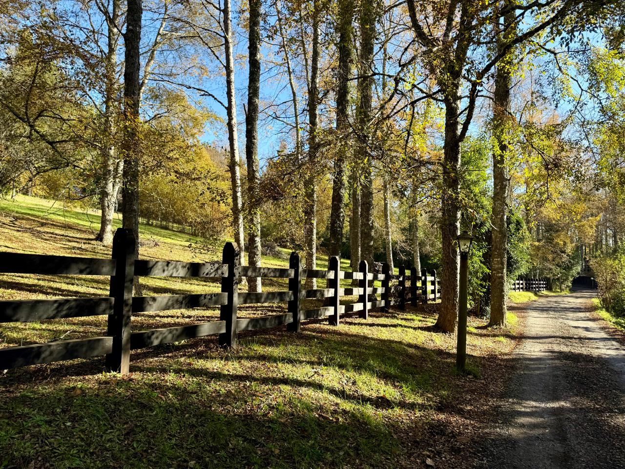 WhatsApp Image 2025-06-04 at 10.27.14 (4)