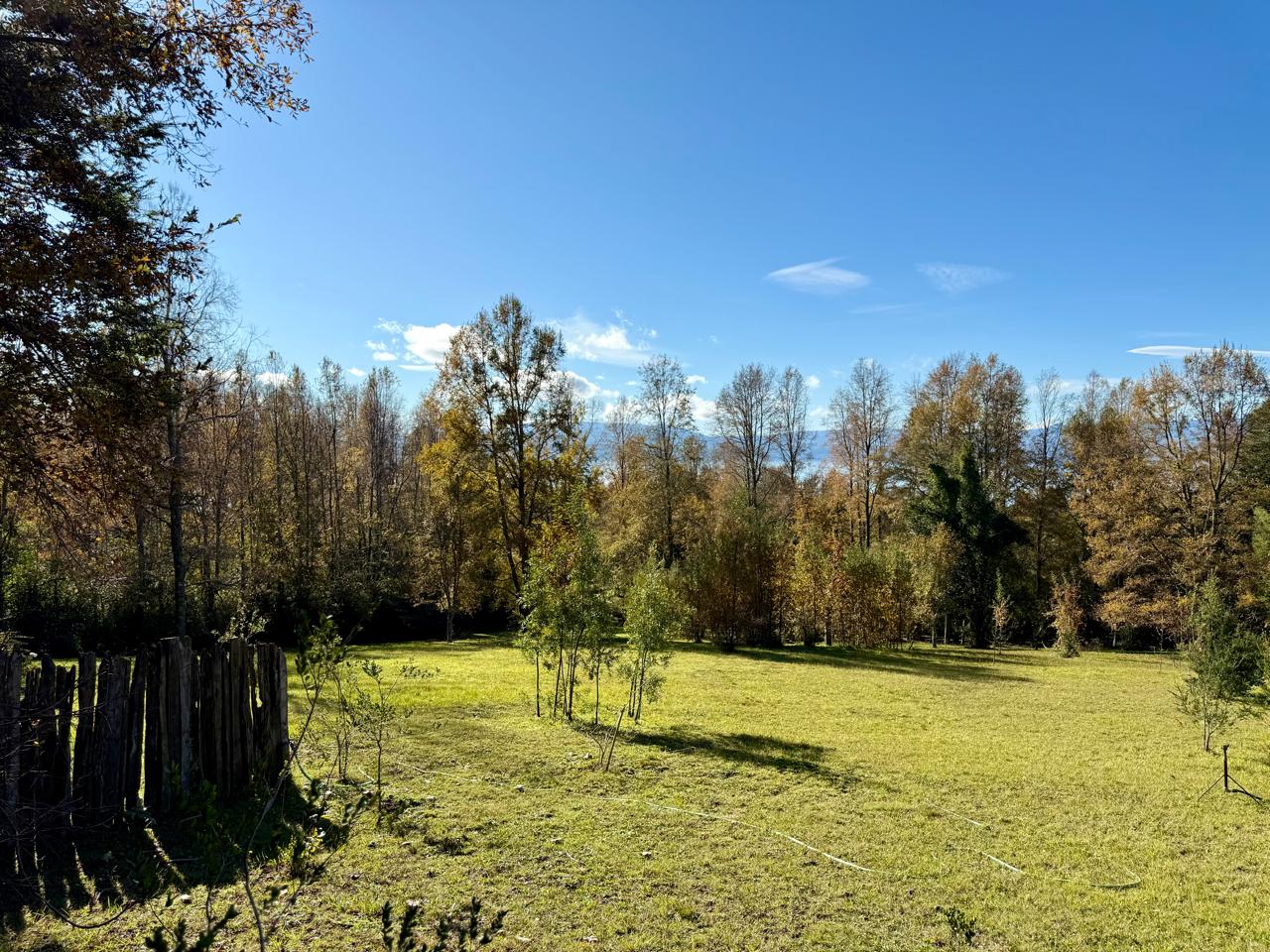 WhatsApp Image 2025-06-04 at 10.27.14