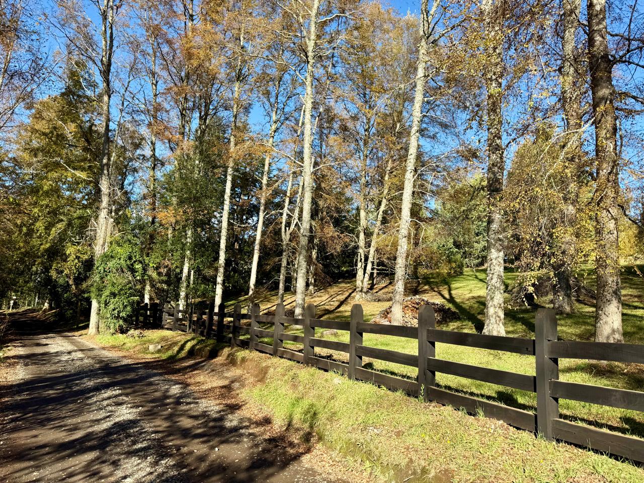 WhatsApp Image 2025-06-04 at 10.27.16 (1)