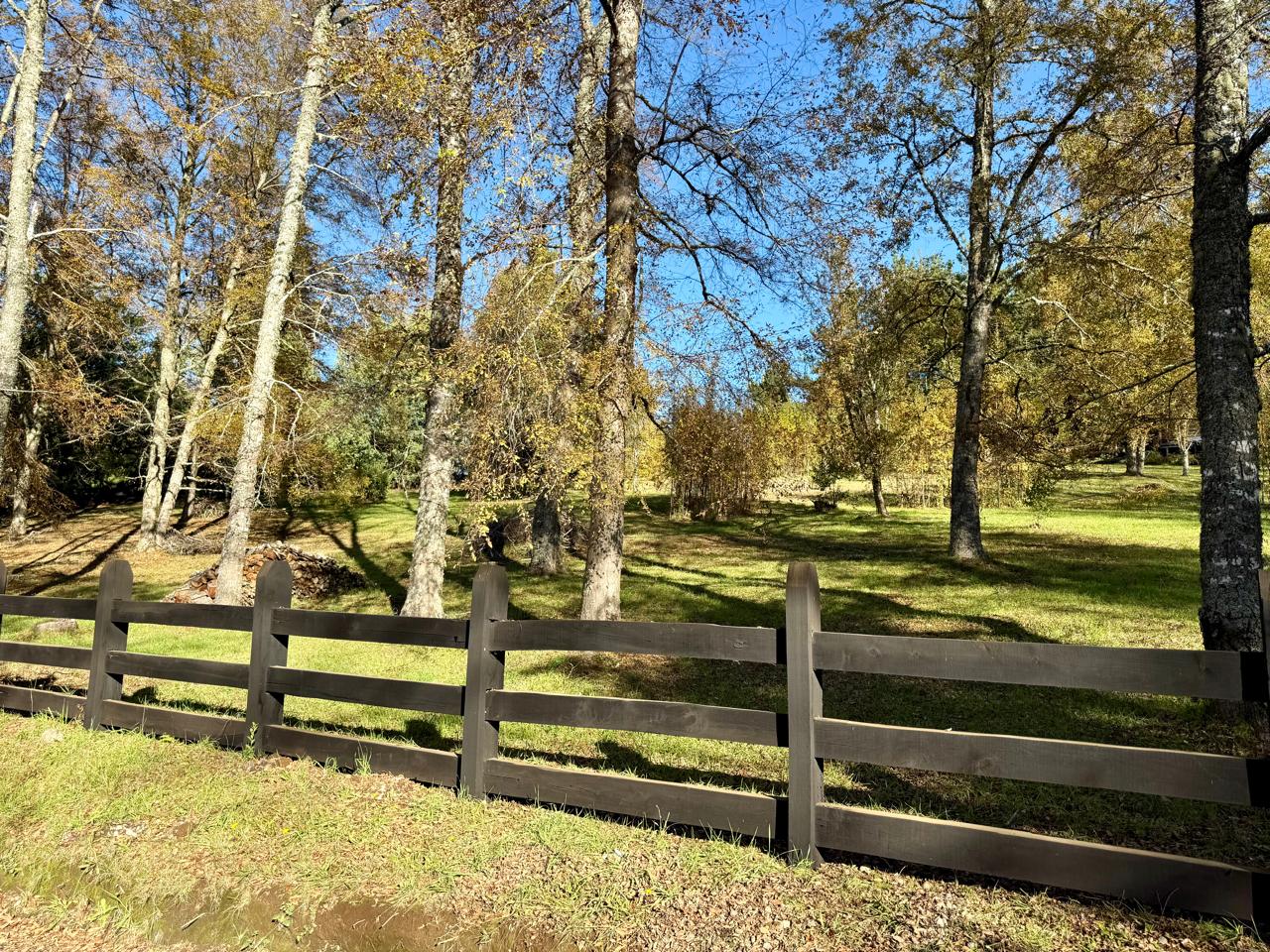 WhatsApp Image 2025-06-04 at 10.27.16 (2)