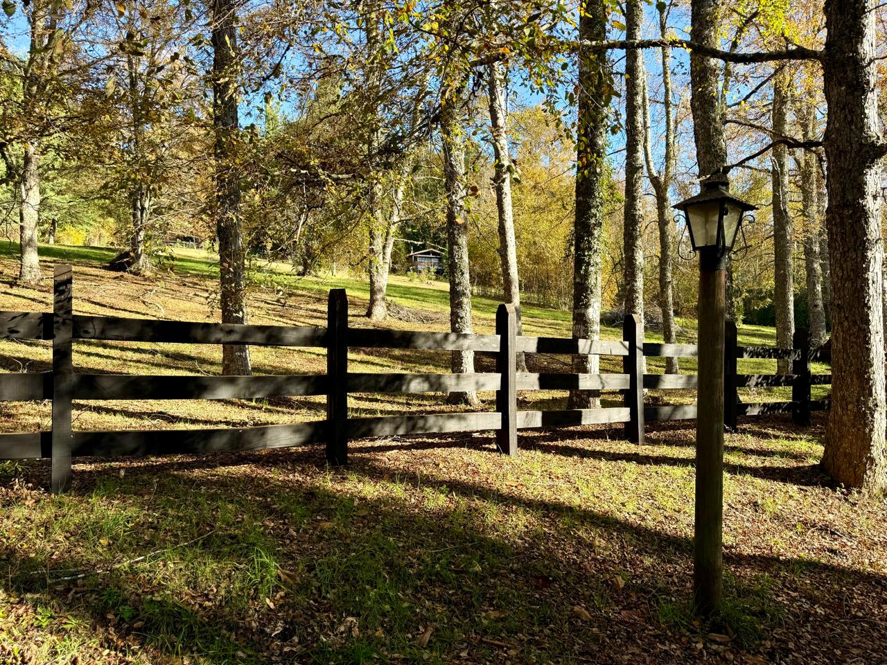 WhatsApp Image 2025-06-04 at 10.27.16 (3)