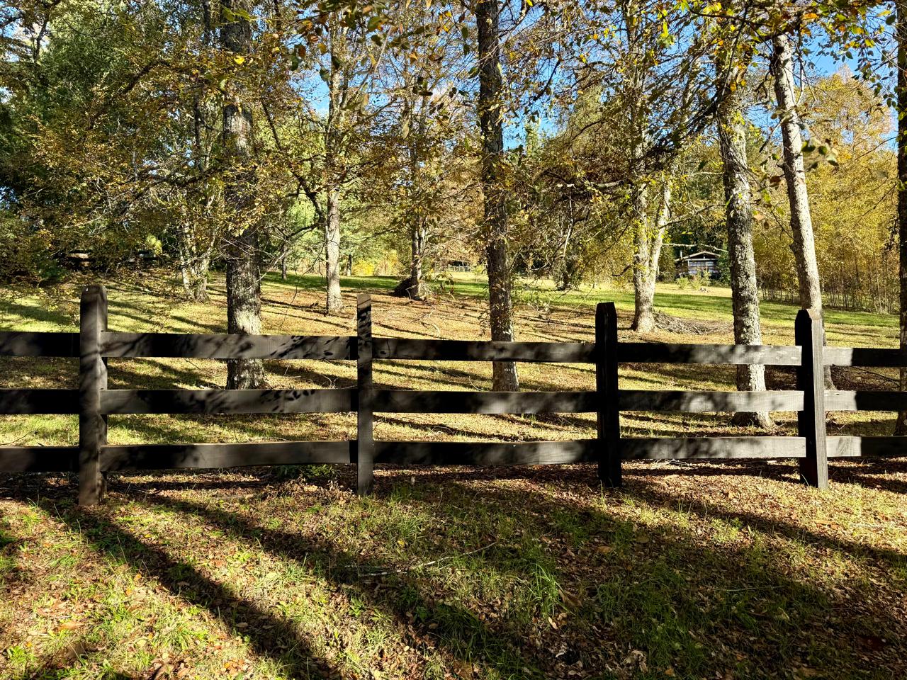 WhatsApp Image 2025-06-04 at 10.27.16 (4)