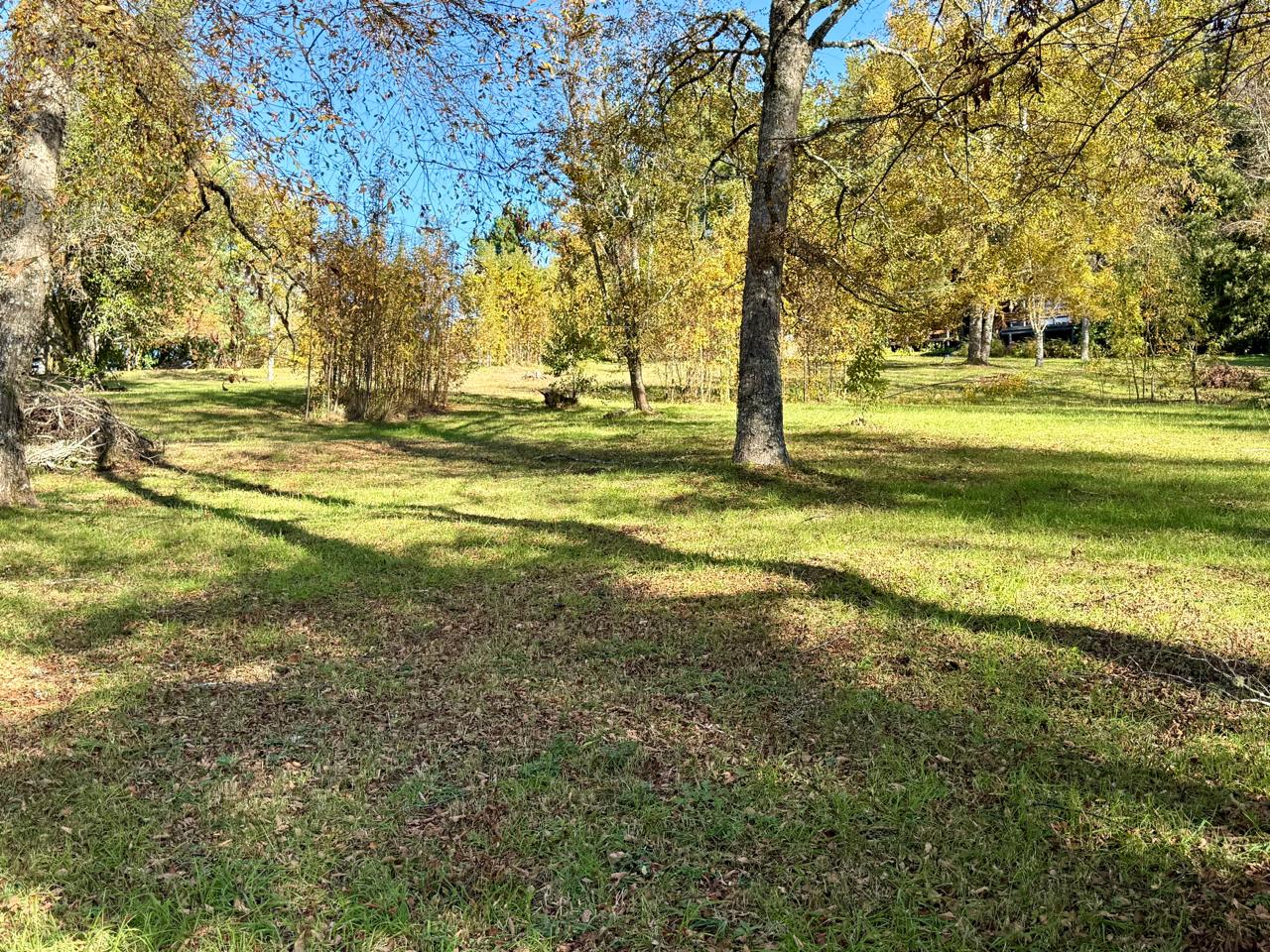 WhatsApp Image 2025-06-04 at 10.27.16