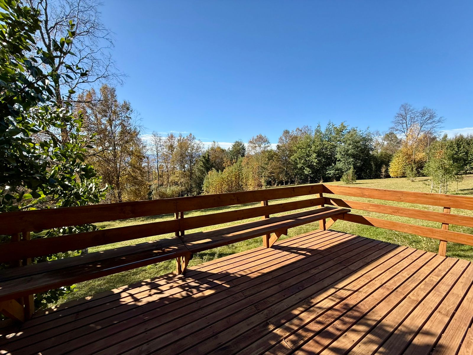 WhatsApp Image 2025-06-09 at 09.30.53 (3)